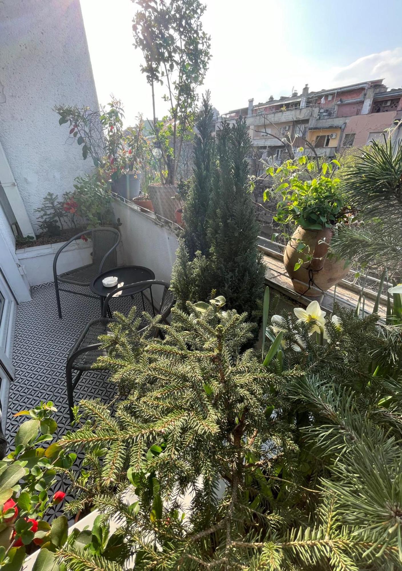 Apartman Avenia 诺威萨 外观 照片