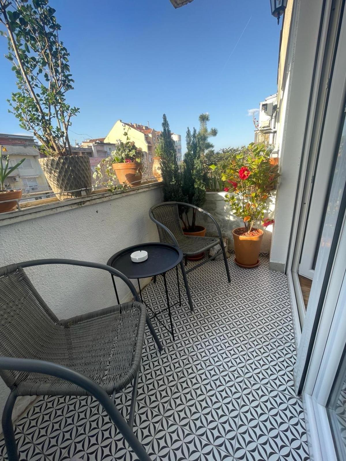 Apartman Avenia 诺威萨 外观 照片